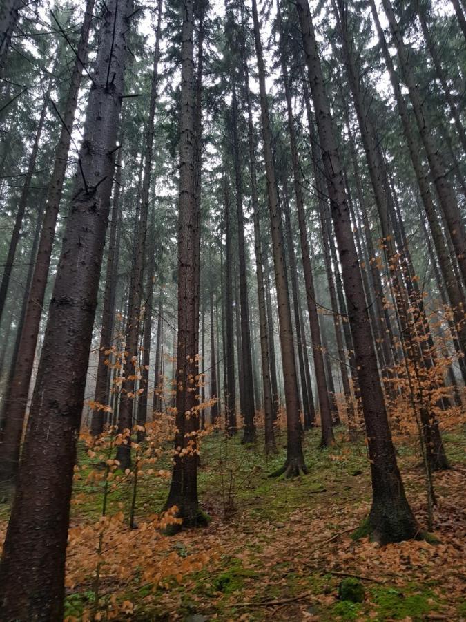 Horska Chata V Srdci Kremnickych Hor Banská Bystrica Dış mekan fotoğraf