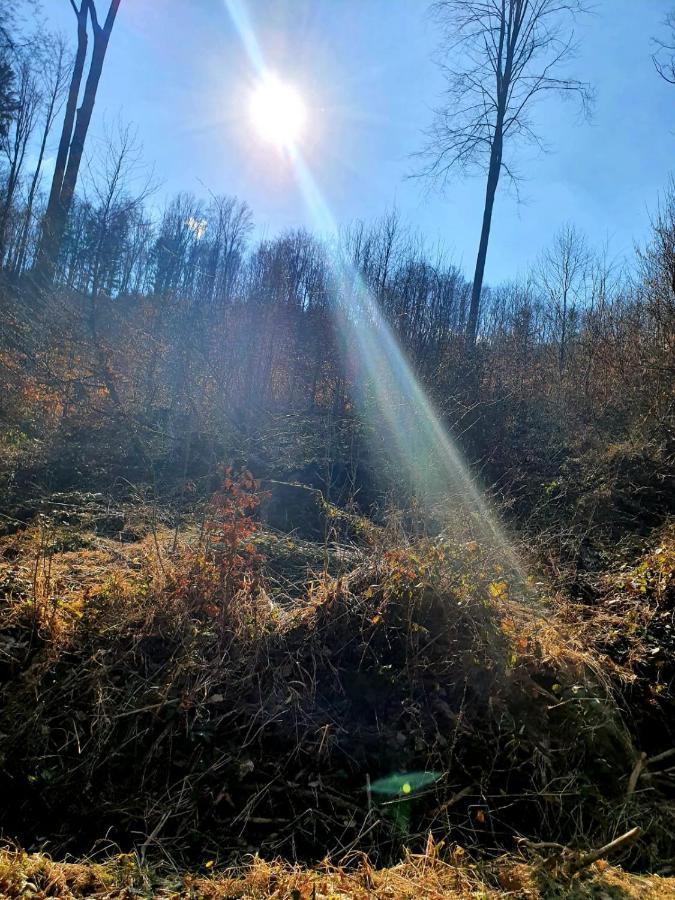 Horska Chata V Srdci Kremnickych Hor Banská Bystrica Dış mekan fotoğraf