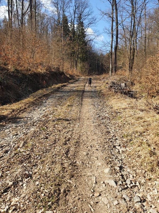 Horska Chata V Srdci Kremnickych Hor Banská Bystrica Dış mekan fotoğraf